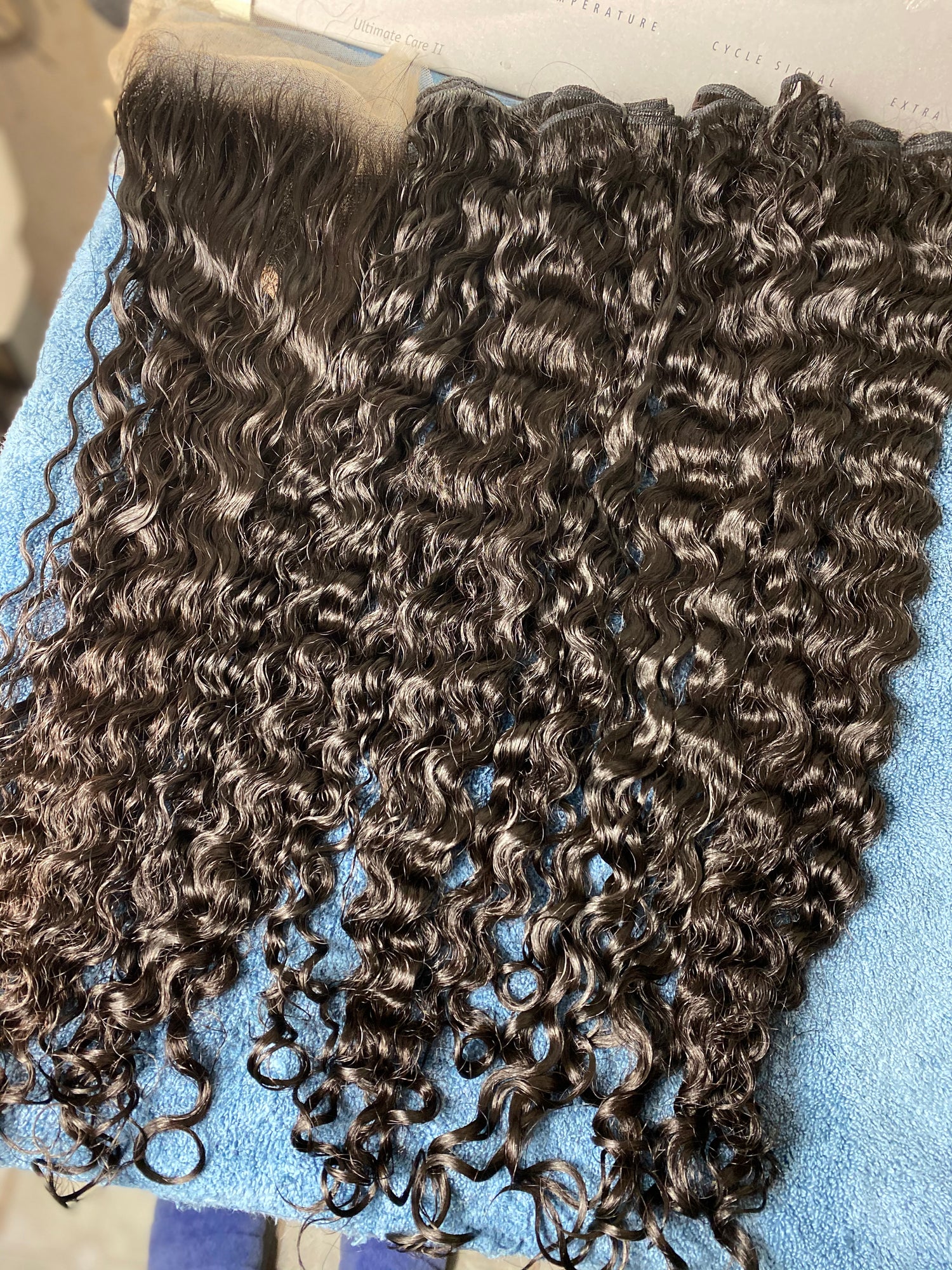 Shop Burmese Curly