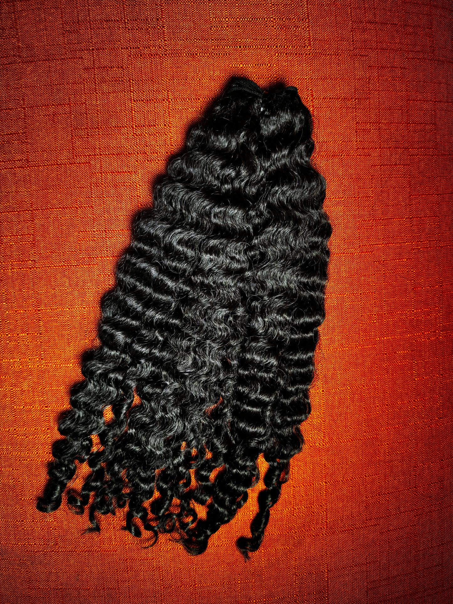 Burmese Curly 4 Bundle Deal