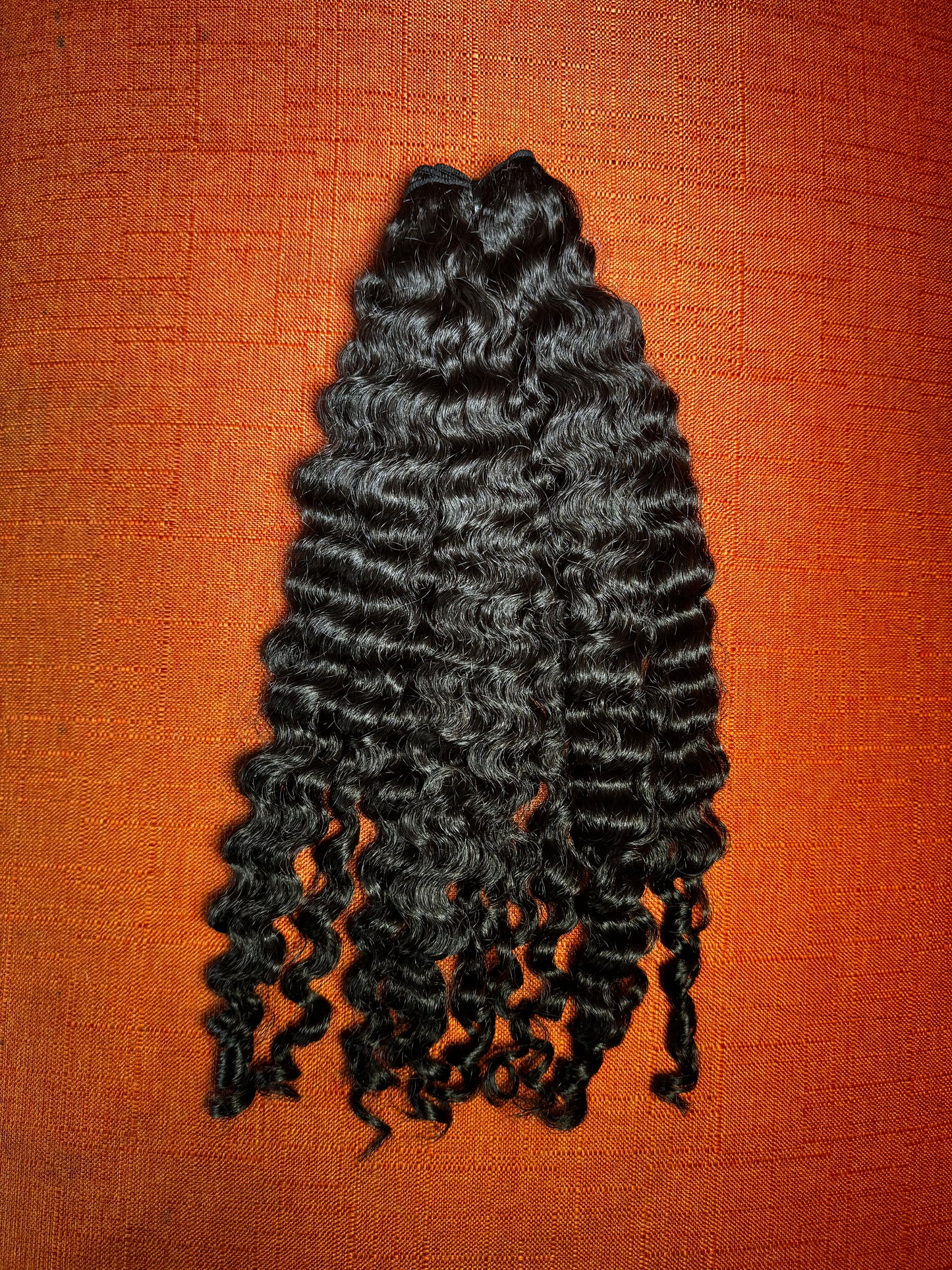 Burmese Curly 3 Bundle Deal