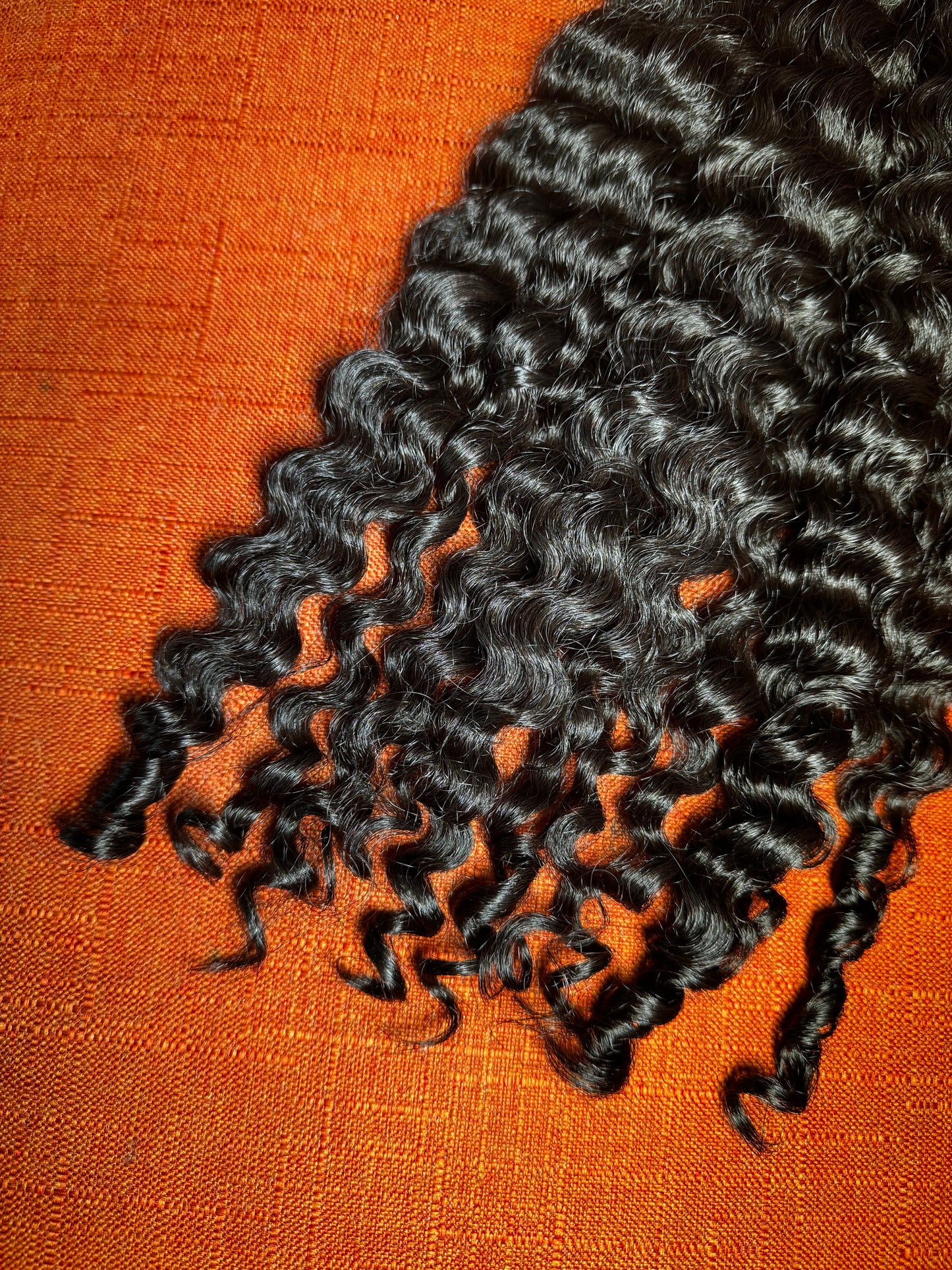 Burmese Curly 4 Bundle Deal