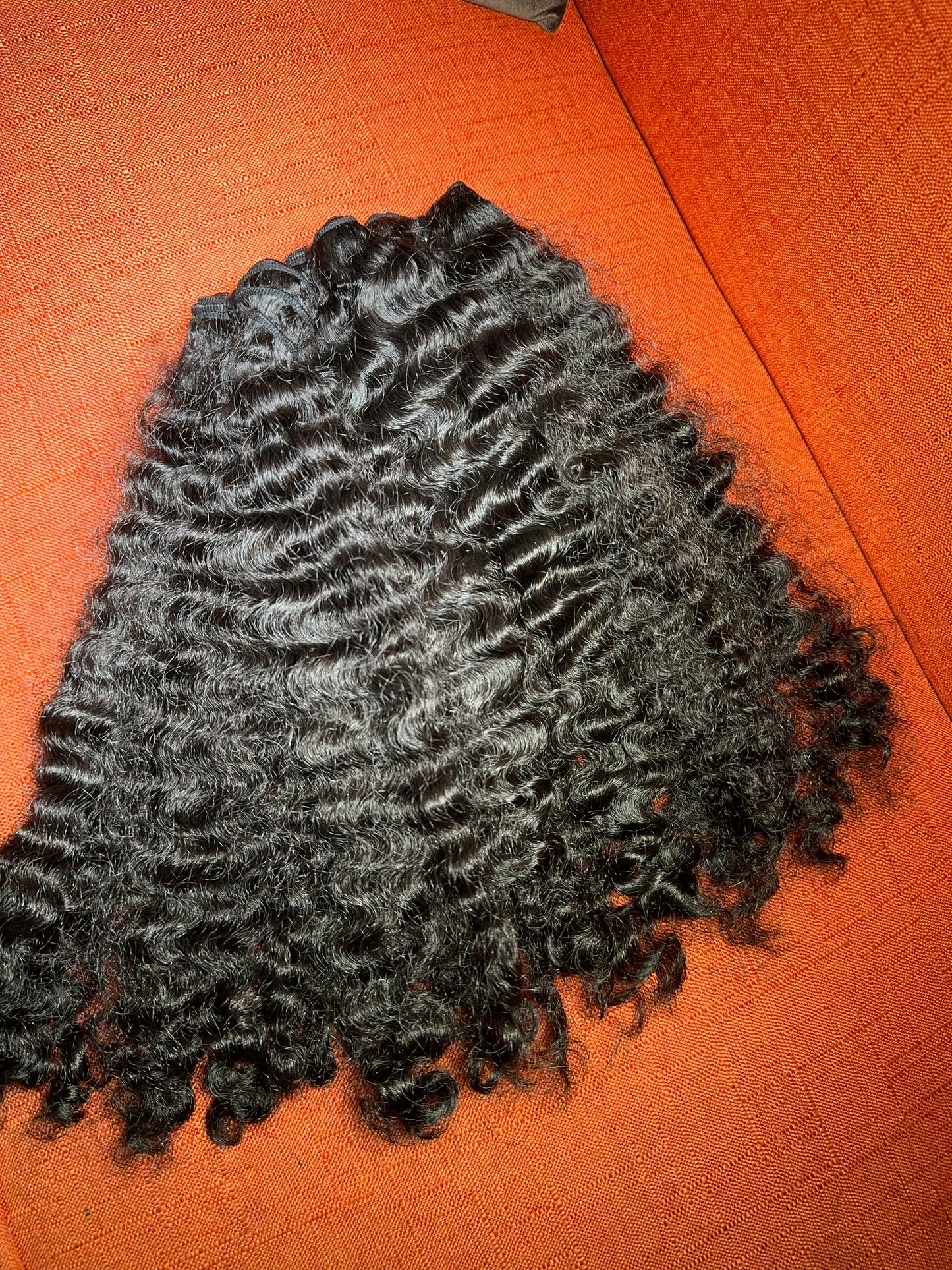 Burmese Curly 3 Bundle Deal