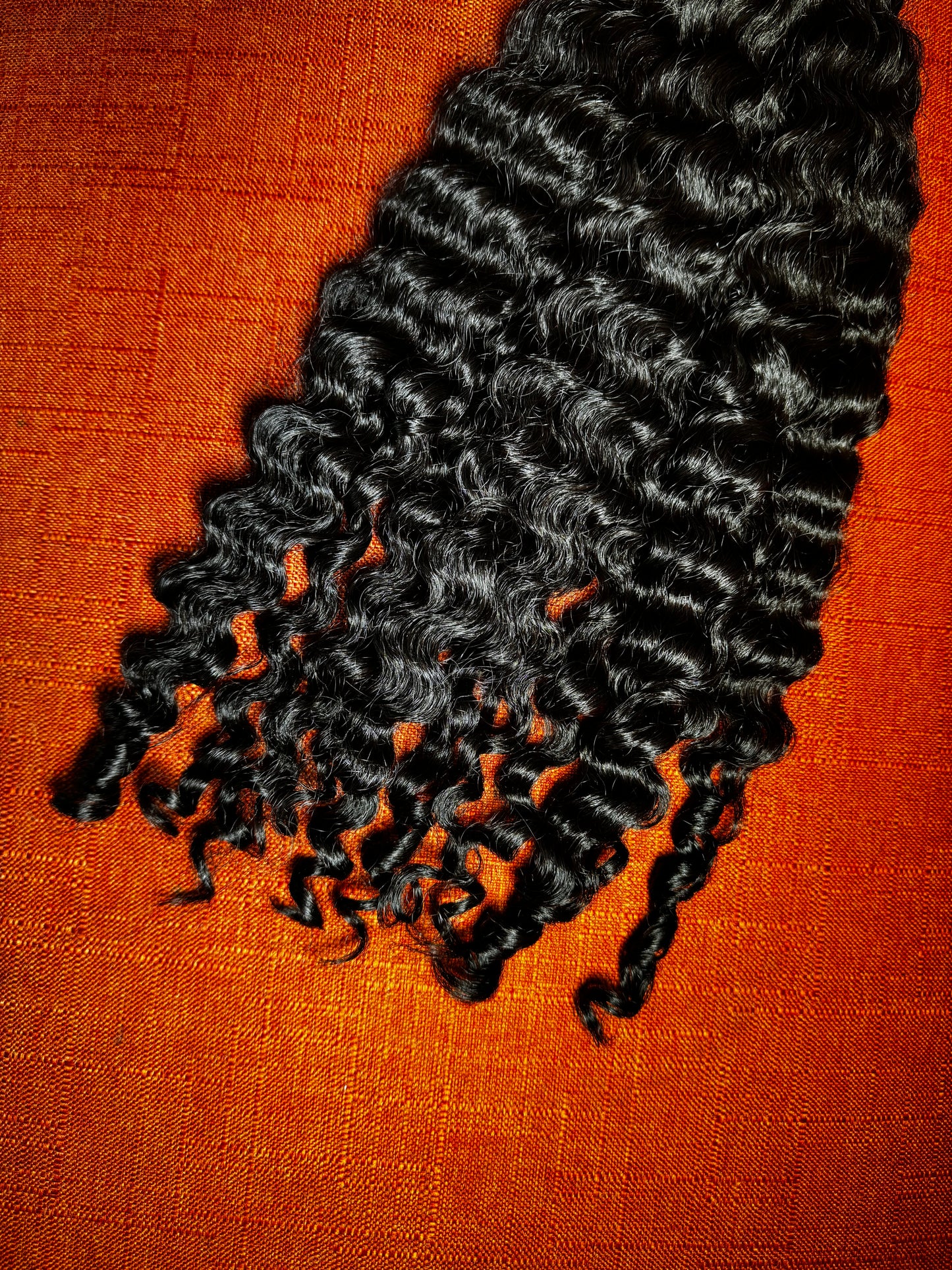 Burmese Curly 3 Bundle Deal