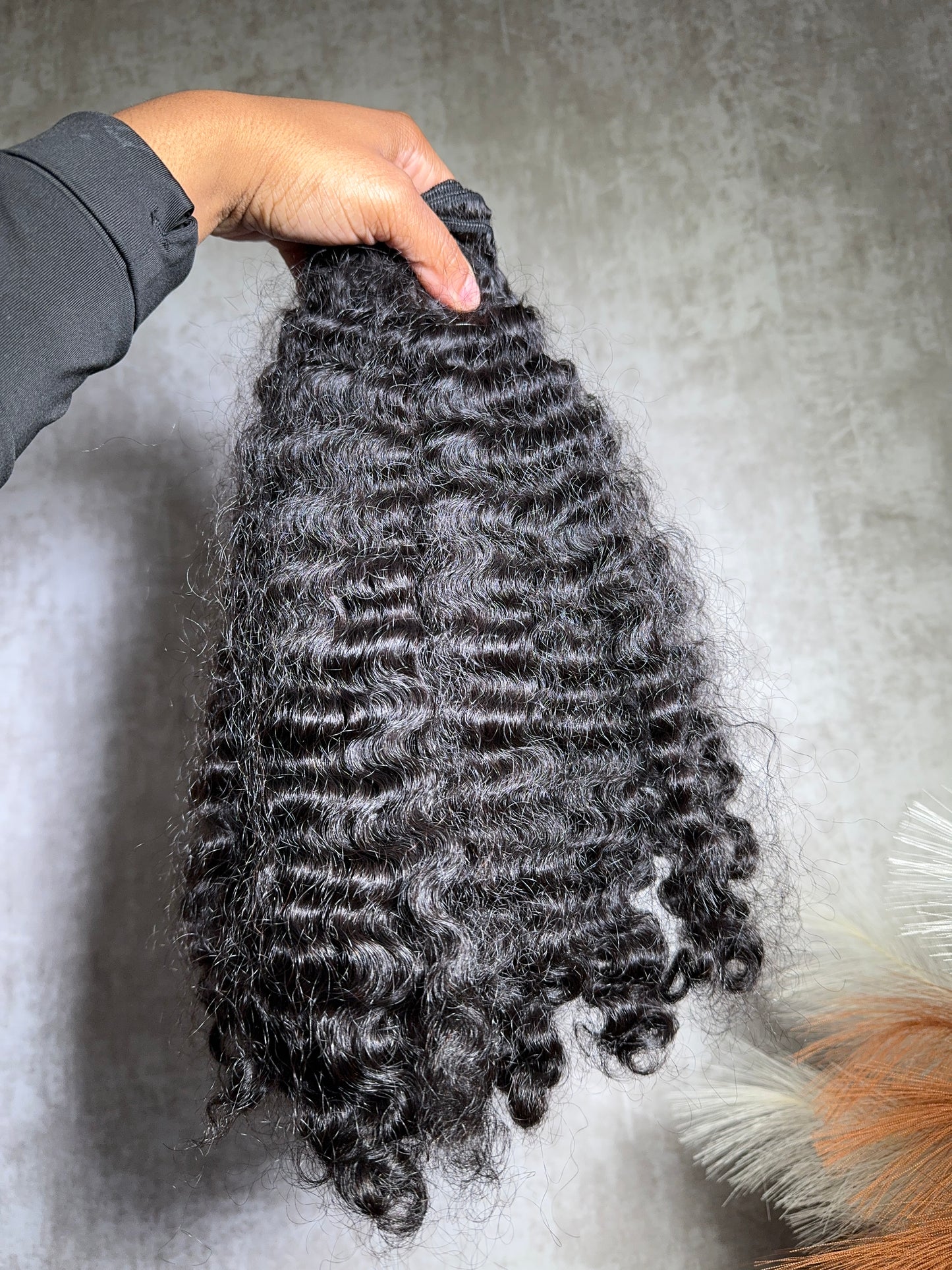 Burmese Curly 3 Bundle Deal