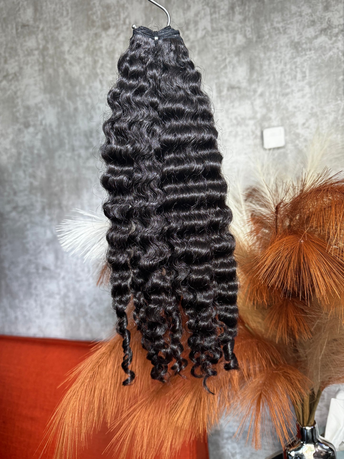 Burmese Curly 3 Bundle Deal