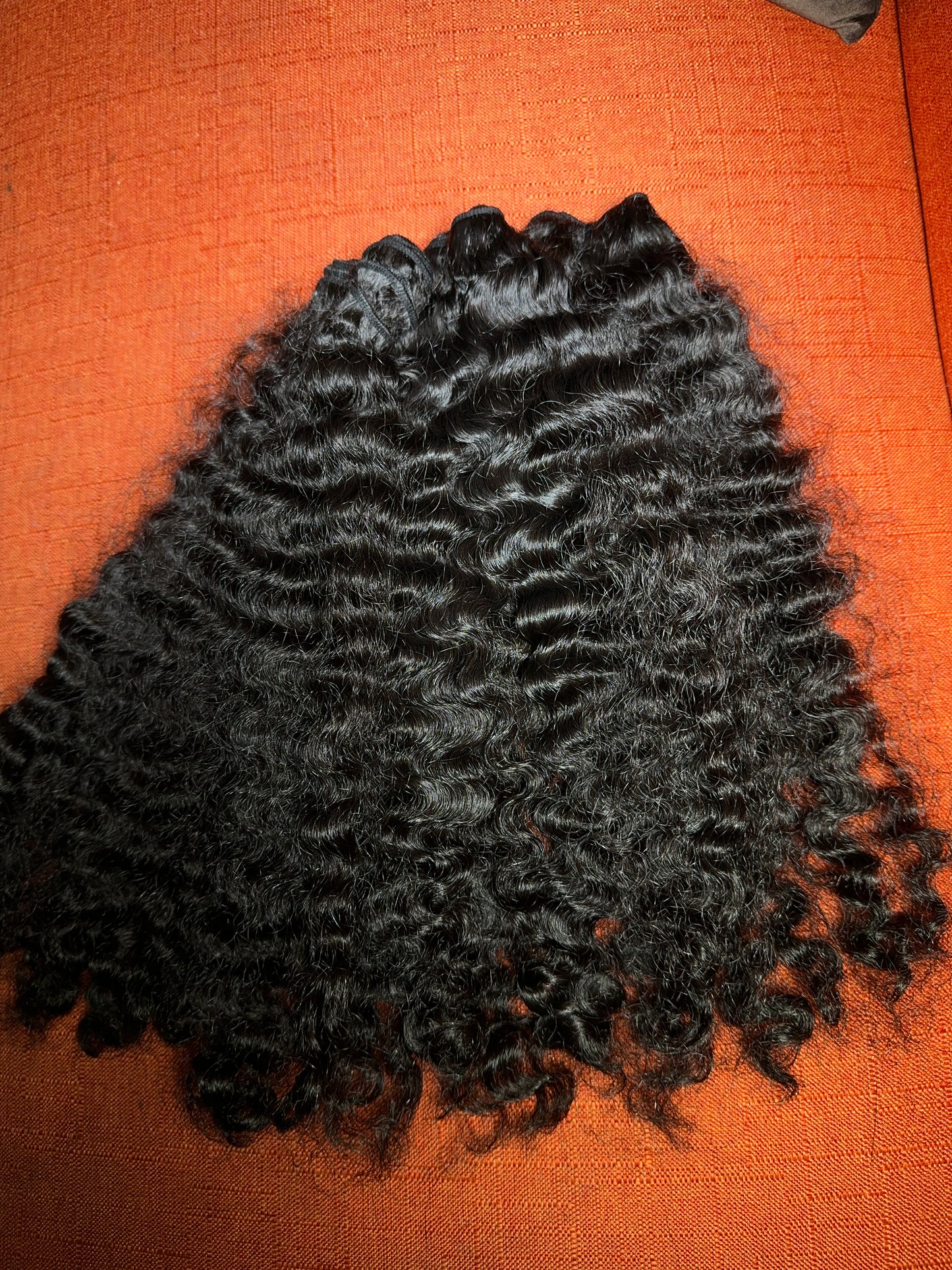 Burmese Curly 4 Bundle Deal